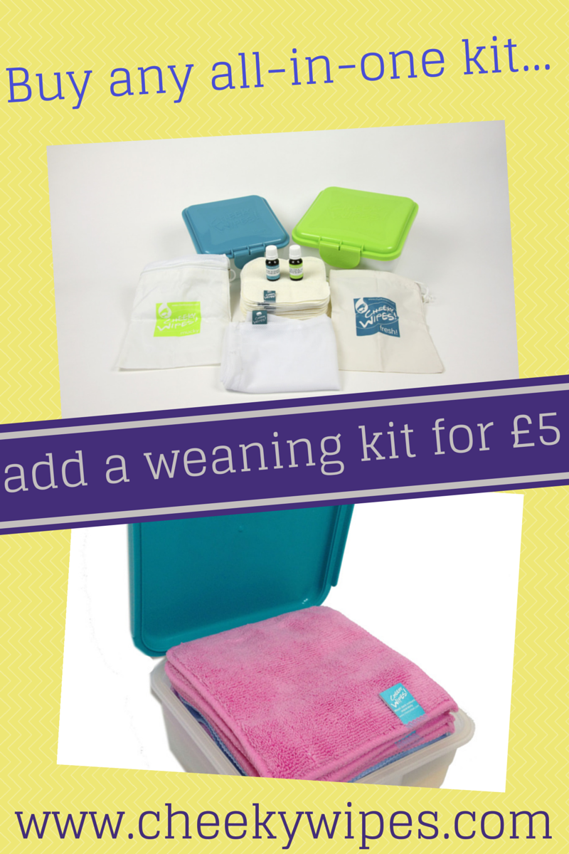 All in one reusable baby wipes kit offer